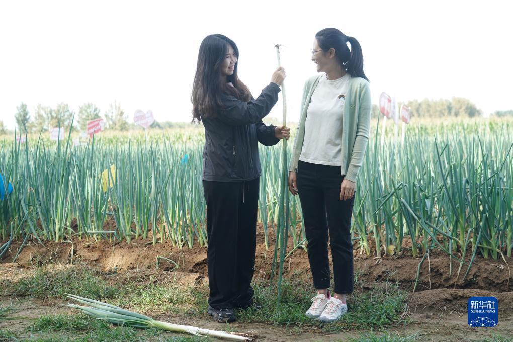 捕鱼游戏游戏中心